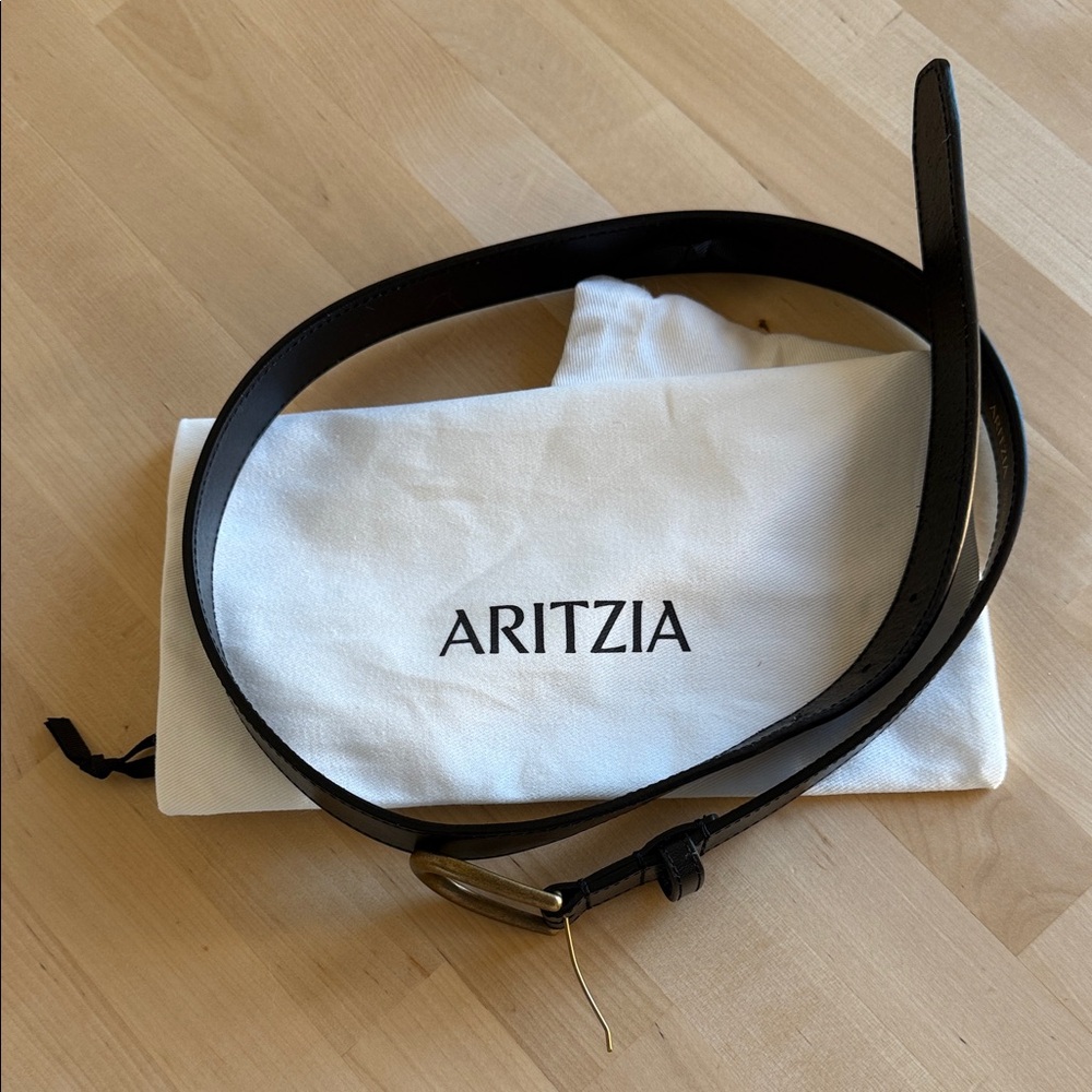Aritzia Leather Belt Solid Brass - Picture 2 of 6